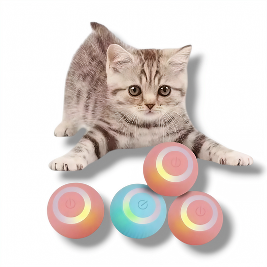 PELOTA INTERACTIVA PARA MASCOTAS USB