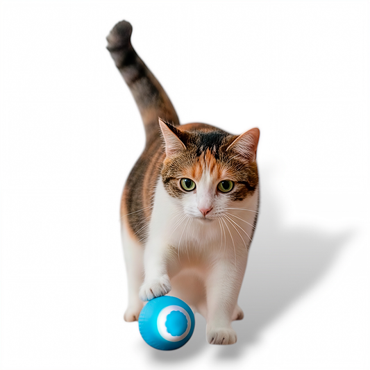 PELOTA INTERACTIVA PARA MASCOTAS USB
